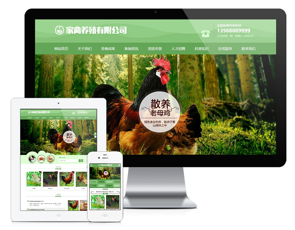 家禽母鸡养殖类网站